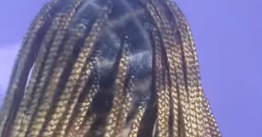 Ms. V's Hair Braiding style