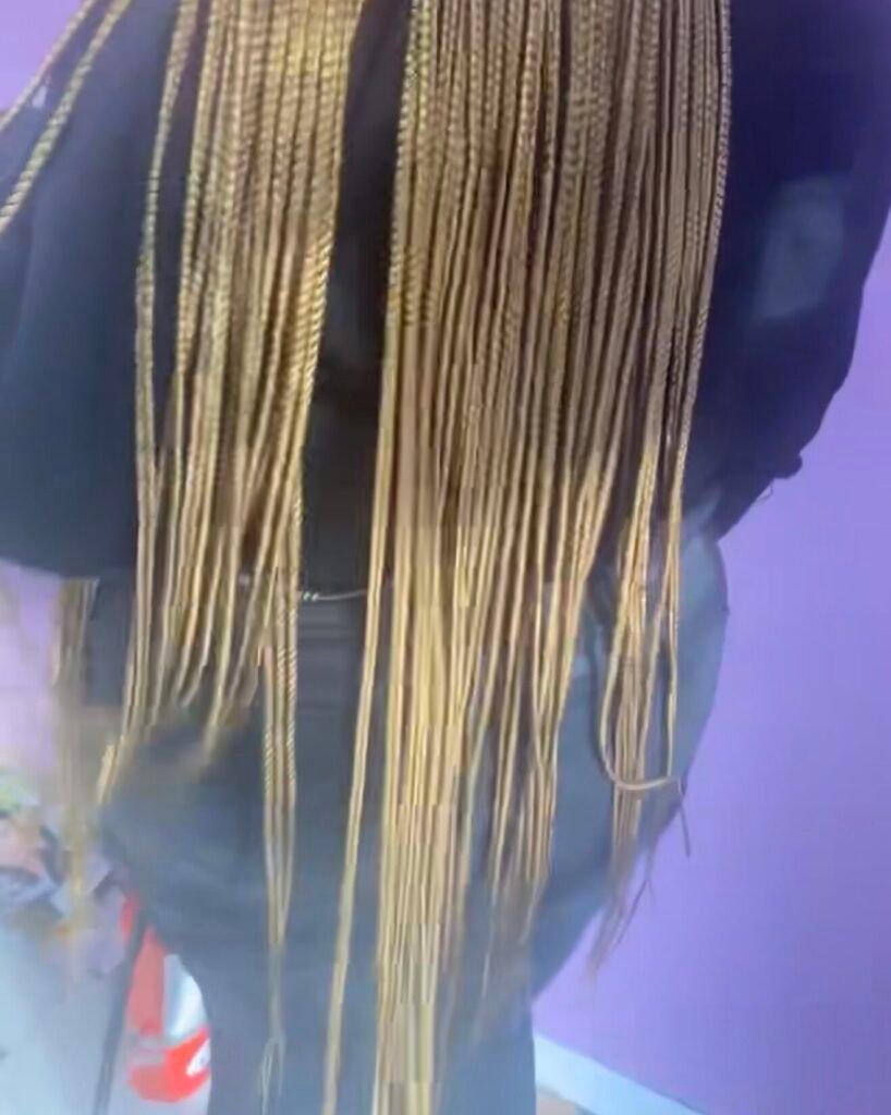 Ms. V's Hair Braiding style
