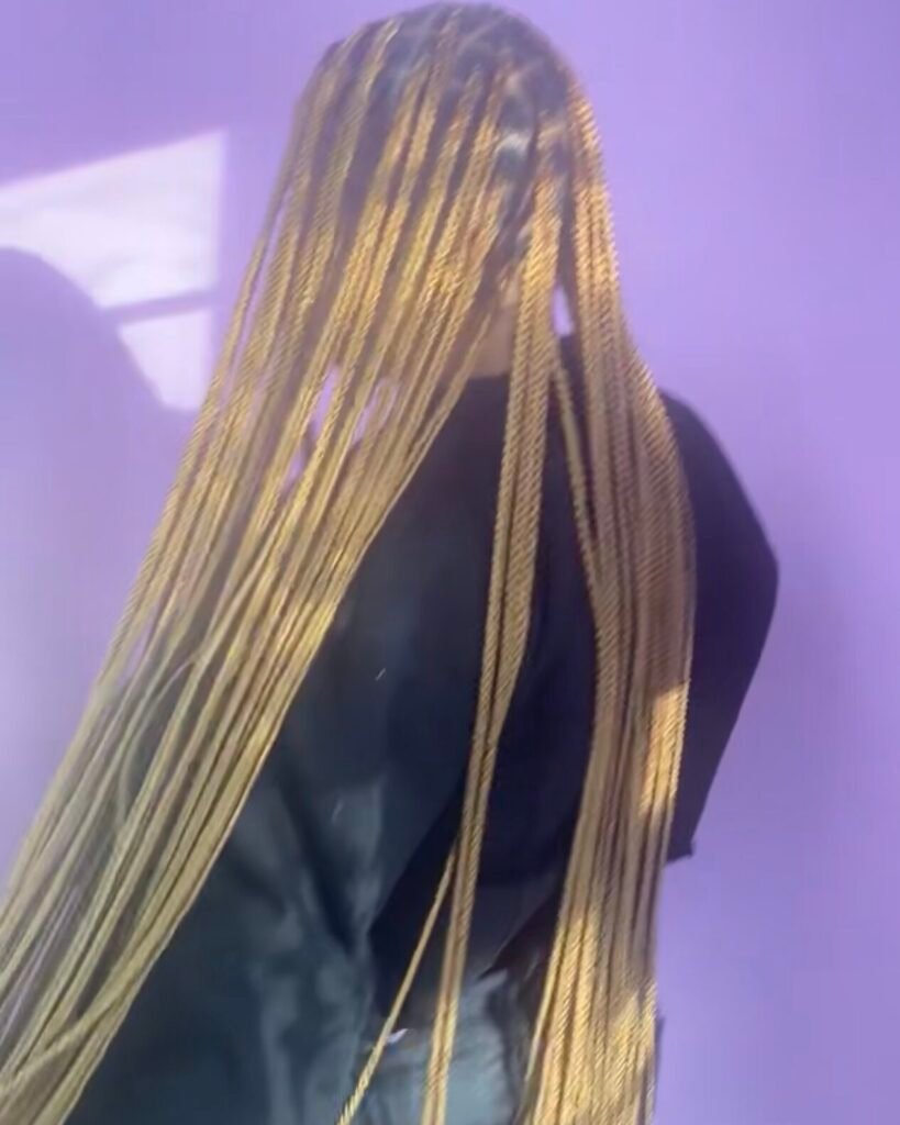 Ms. V's Hair Braiding style
