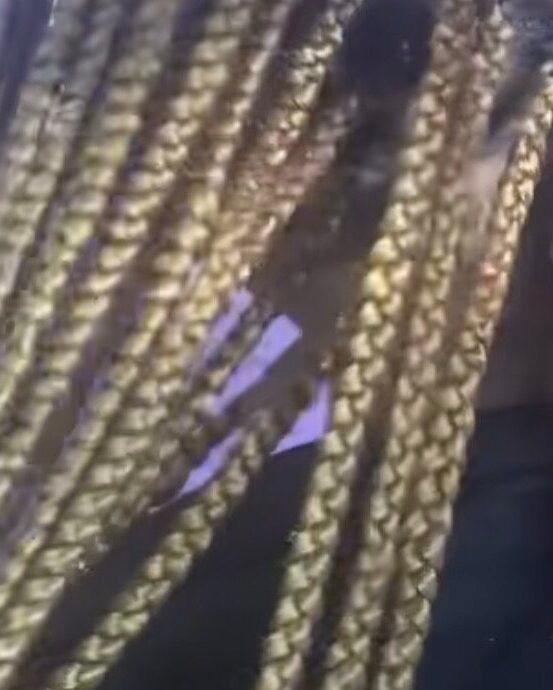 Ms. V's Hair Braiding style
